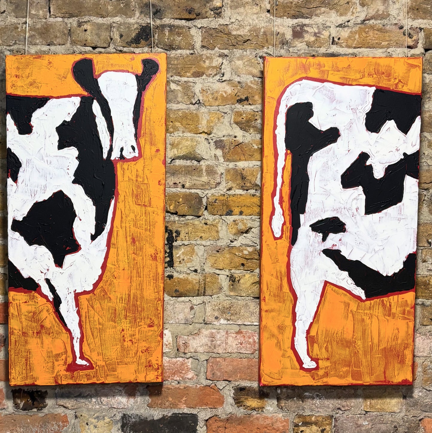 Two Halfs of Cow - Maximillian Boxer