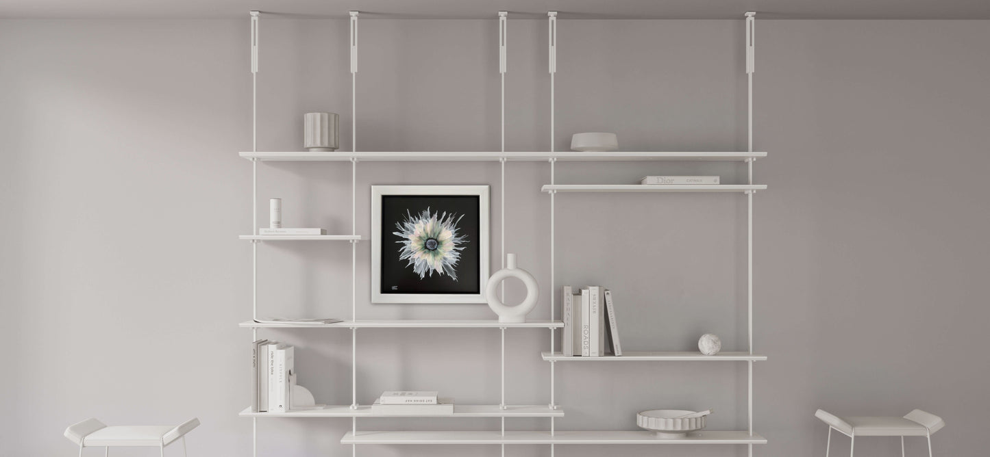 BLOOM - Lucyanne Terni