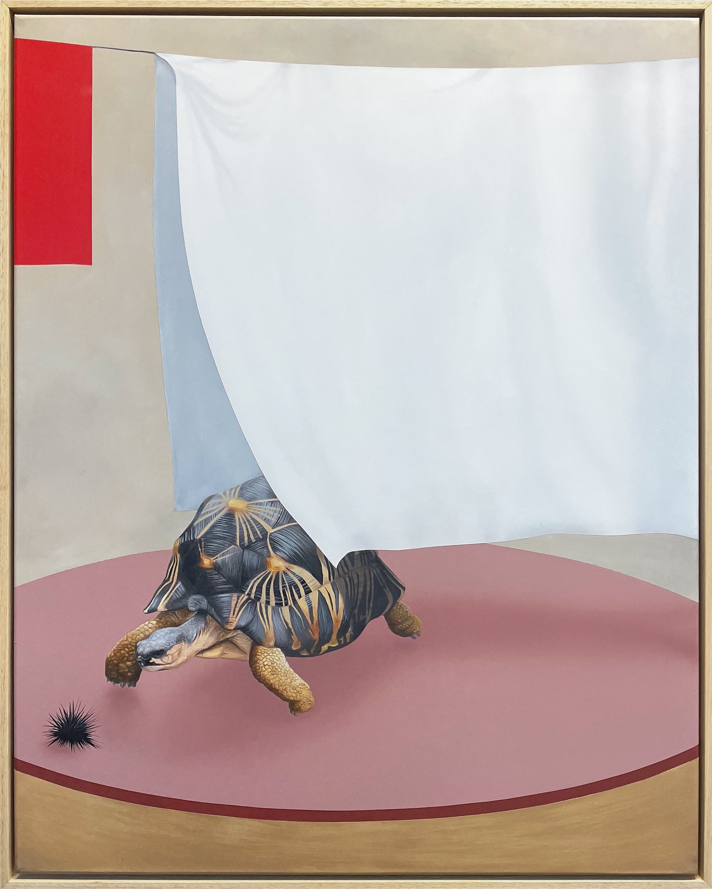 Between the Sheets - original oil and acrylic painting by Joshua Daniels, featuring a tortoise and sea urchin beneath a hanging white sheet