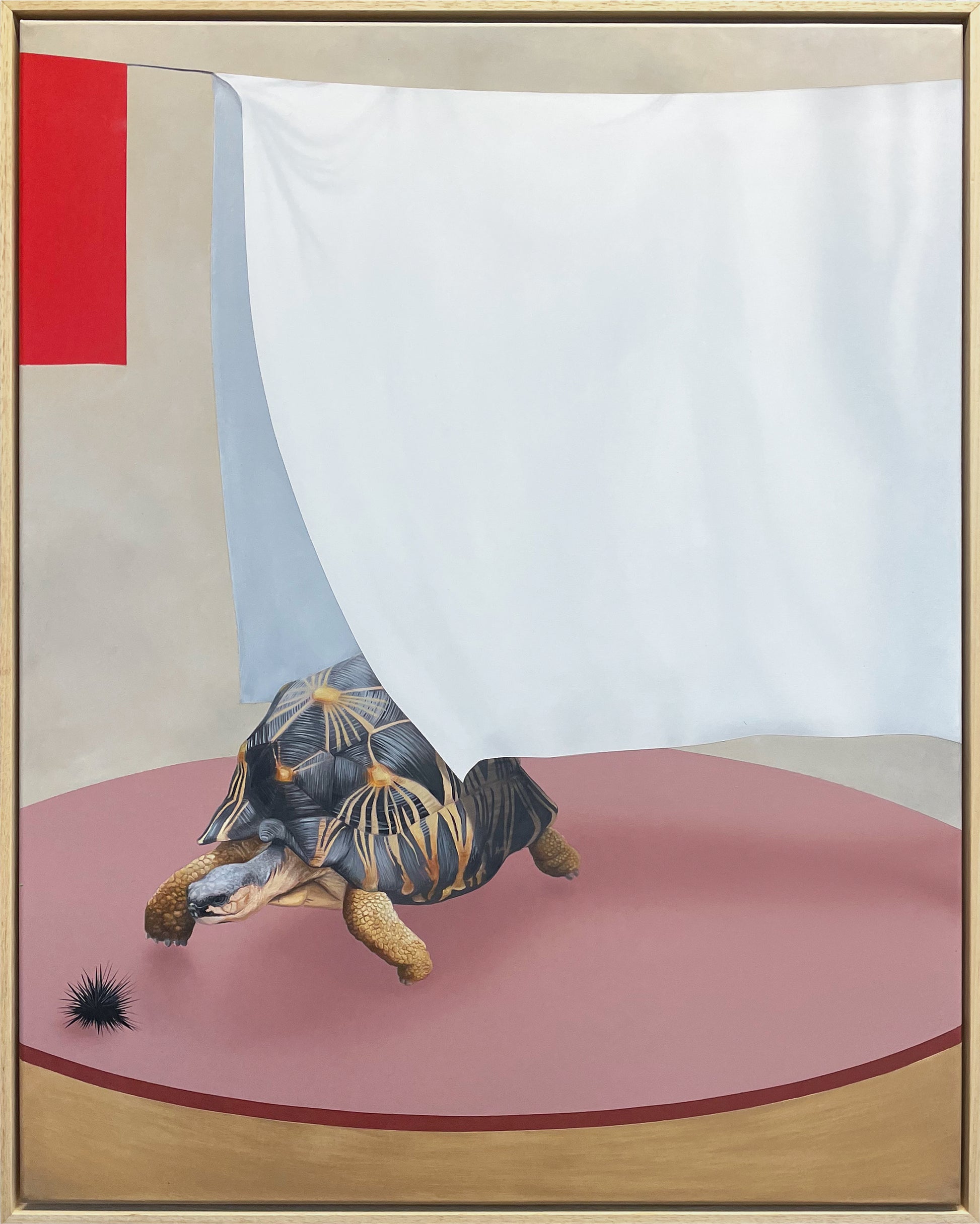 Between the Sheets - original oil and acrylic painting by Joshua Daniels, featuring a tortoise and sea urchin beneath a hanging white sheet