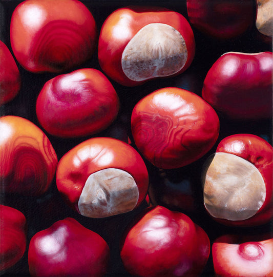 Conkers - Kelly Davitt